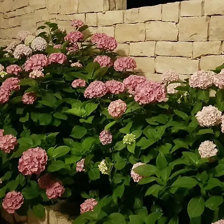 Anka Bed & Breakfast